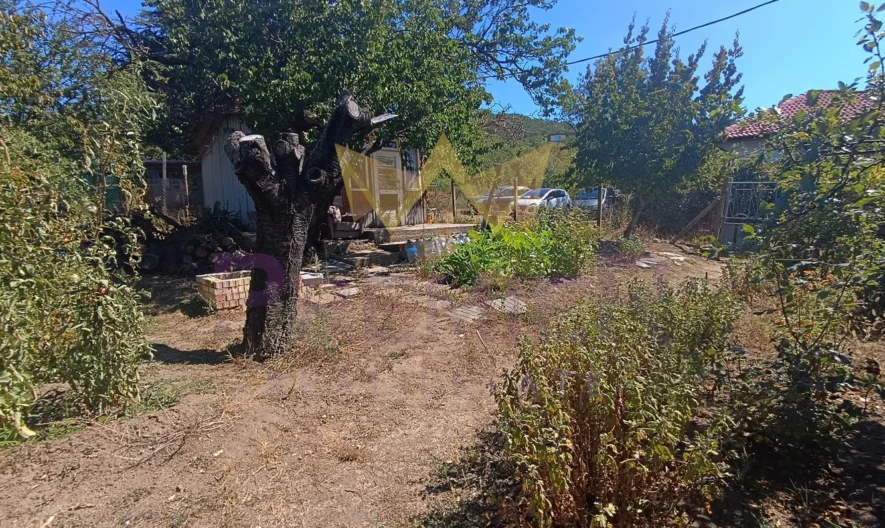 Парцел Виница -  - снимка 22 - Имоти Премиер