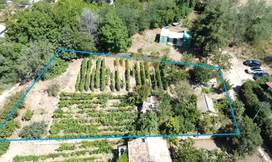 Парцел Виница -  - снимка 5 - Имоти Премиер