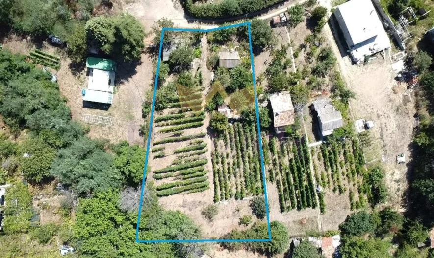 Парцел Виница -  - снимка 6 - Имоти Премиер