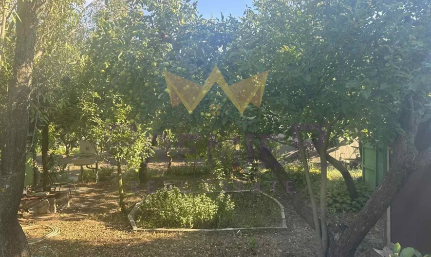 Парцел Виница -  - снимка 7 - Имоти Премиер