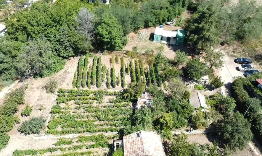 Парцел Виница -  - снимка 8 - Имоти Премиер