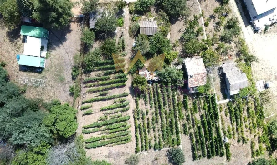 Парцел Виница -  - снимка 9 - Имоти Премиер