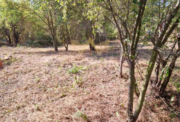 Агенция за недвижими имоти - Имоти Премиер - имот - 1077081, Цена: 23900 EUR