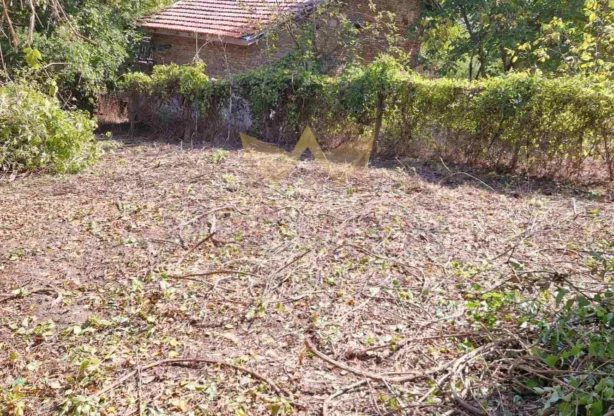 Агенция за недвижими имоти - Имоти Премиер - имот - 1077081, Цена: 23900 EUR