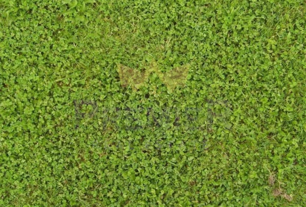 Агенция за недвижими имоти - Имоти Премиер - имот - 1033510, Цена: 126000 EUR