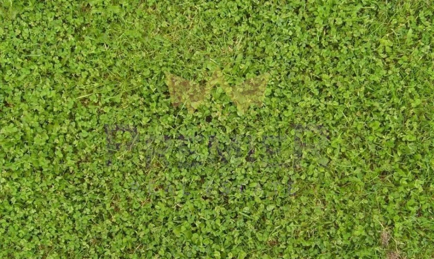 Парцели за строителство с. Китка , Площ-2605 кв м - - снимка 1 - Имоти Премиер