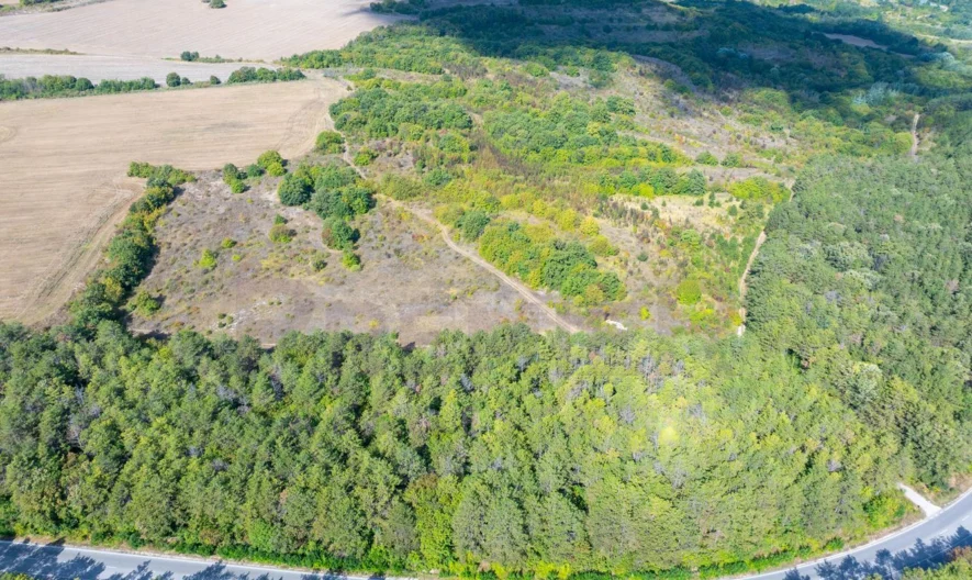 PLOT 5,584 sq.m. near the village of General Kantardzhievo, close to the village of Kraneovo, 20 min. from the city of Varna -  - snimka 5 - Imoti Premier