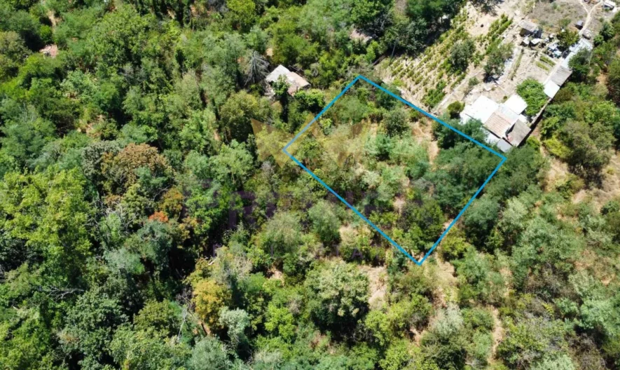 Plot, Franga Dere area, Varna -  - snimka 1 - Imoti Premier