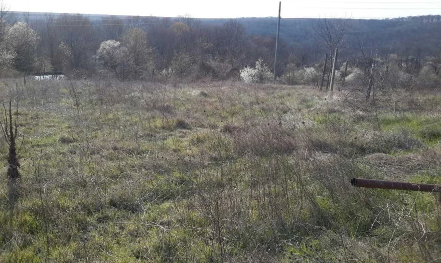 Plot in the village of Priselci - - snimka 11 - Imoti Premier
