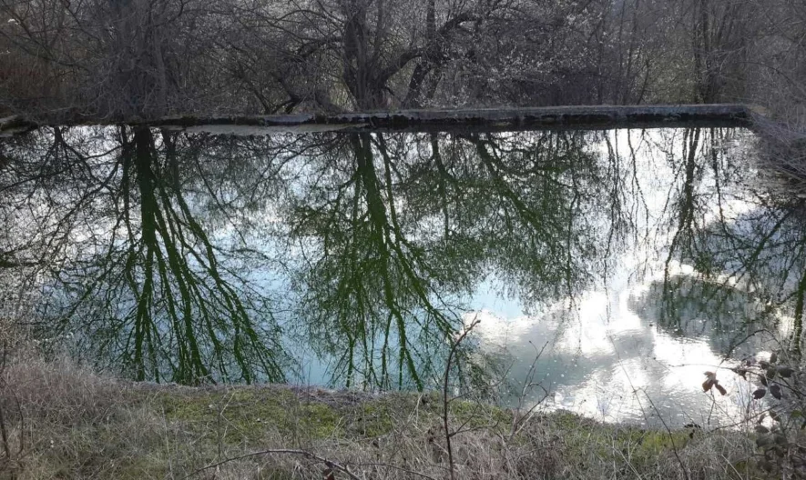 Plot in the village of Priselci - - snimka 3 - Imoti Premier