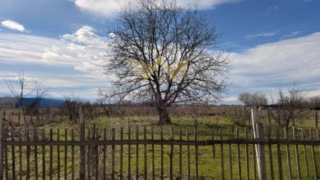 Plot in the Zaharna Fabrika district - - snimka 12 - Imoti Premier