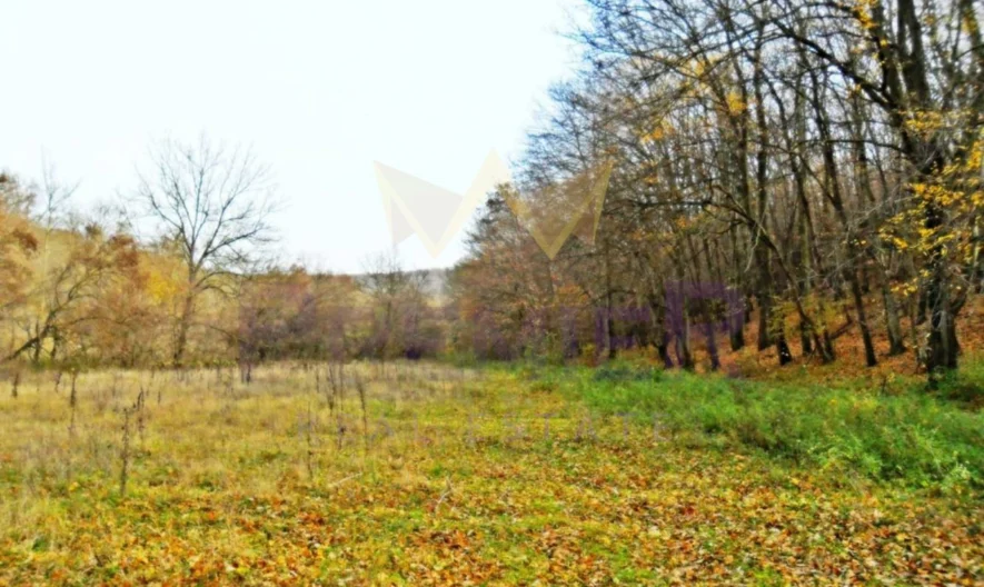 Plot in Zvezditsa village -  - snimka 1 - Imoti Premier