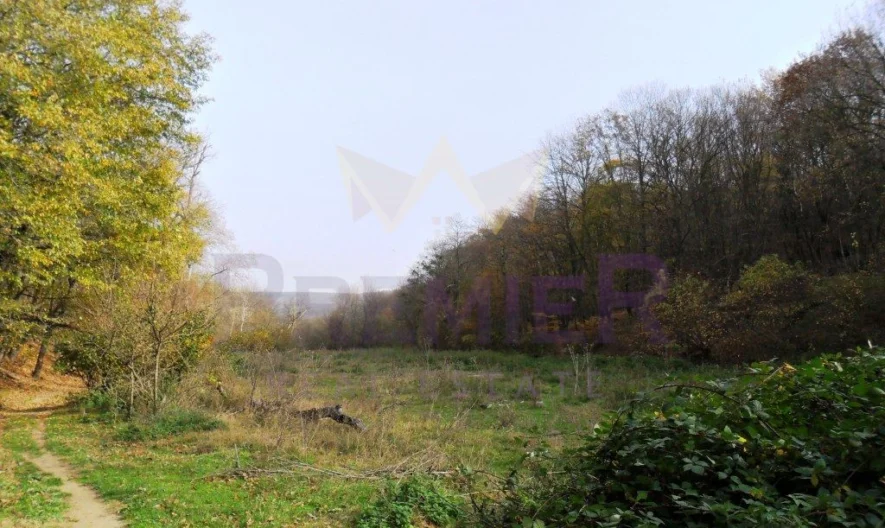 Plot in Zvezditsa village -  - snimka 3 - Imoti Premier