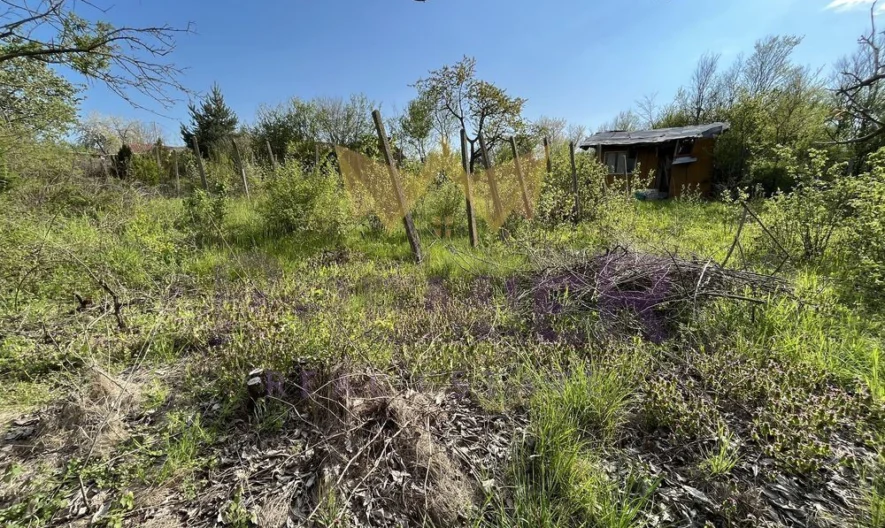 Plot of land in the village of Ezerovo -  - snimka 7 - Imoti Premier