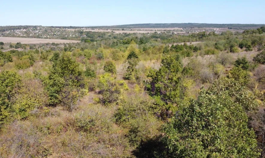 Plot of land in the village of Priselci, Varna region - - snimka 5 - Imoti Premier