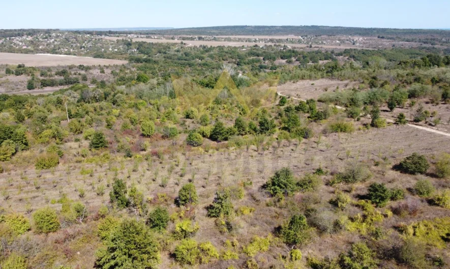 Plot of land in the village of Priselci, Varna region - - snimka 6 - Imoti Premier