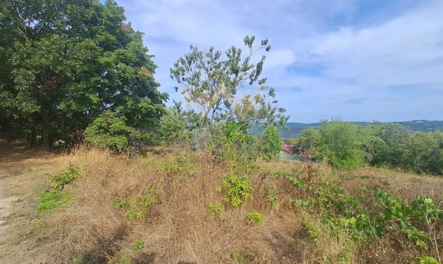 Plot, village of Osenovo, Mogilite locality, Varna region - - snimka 5 - Imoti Premier