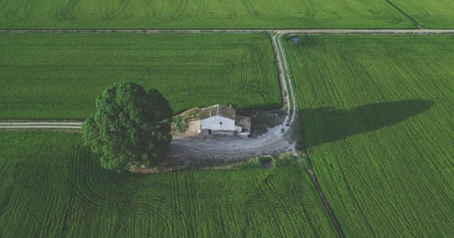 Поземлен имот крие повече, отколкото си мислите!