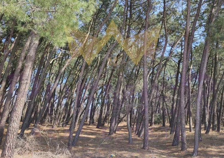 Поземлен имот м.Боровец -  - снимка 1 - Имоти Премиер