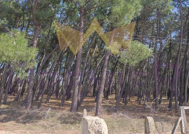 Поземлен имот м.Боровец -  - снимка 7 - Имоти Премиер