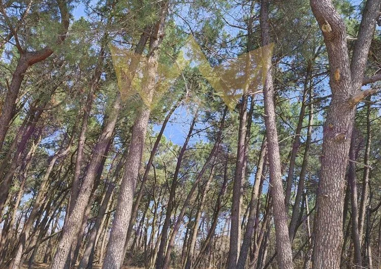 Поземлен имот м.Боровец -  - снимка 8 - Имоти Премиер