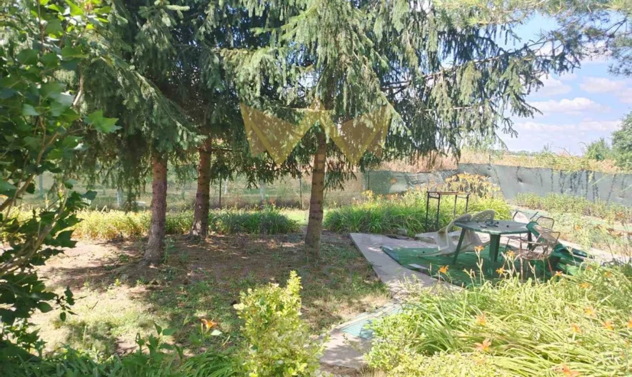 Практична къща (два апартамента с отделни входове) с просторен двор и изключителна локация в с. Котленци, обл. Добрич -  - снимка 27 - Имоти Премиер