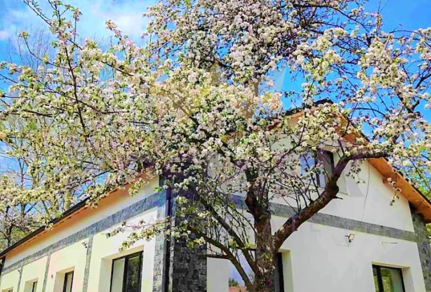 Агенция за недвижими имоти - Имоти Премиер - имот - 766174, Цена: 475000 EUR