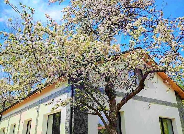 Прекрасна къща в с.Драгичево -  - снимка 2 - Имоти Премиер