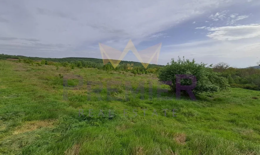 Продаётся участок в селе Осеново с одобренным проектом. -  - снимка 2 - Имоти Премиер
