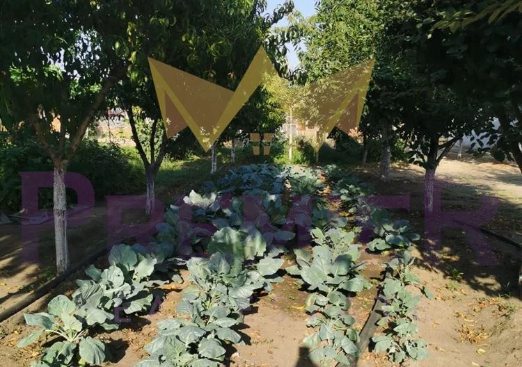 Продава Къща -  - снимка 15 - Имоти Премиер