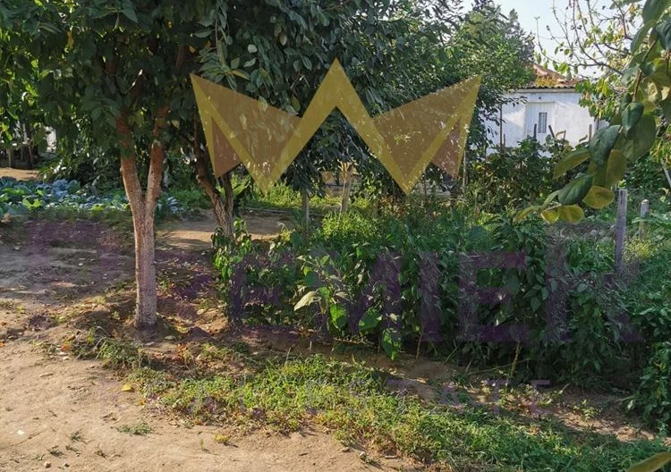 Продава Къща -  - снимка 16 - Имоти Премиер