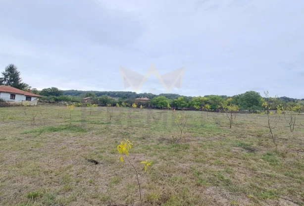 Агенция за недвижими имоти - Имоти Премиер - имот - 935277, Цена: 195000 EUR