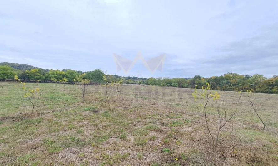 Продава Къща село Китен Област Варна -  - снимка 13 - Имоти Премиер