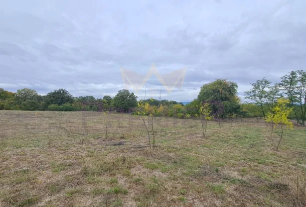 Агенция за недвижими имоти - Имоти Премиер - имот - 935277, Цена: 195000 EUR