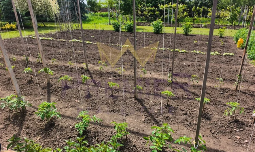 Продава къща село Пленимир област Добрич -  - снимка 16 - Имоти Премиер