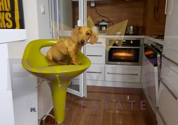 Продава мезонет с уникална панорамна гледка в гр. Варна, Бизнес хотел -  - снимка 15 - Имоти Премиер