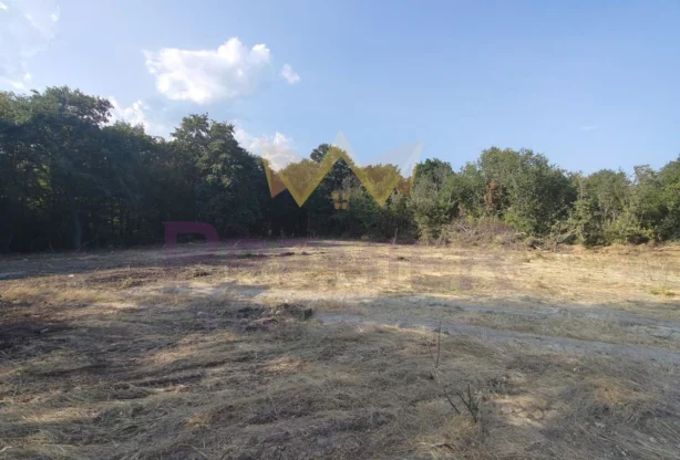 Продава Парцел - - снимка 1 - Имоти Премиер