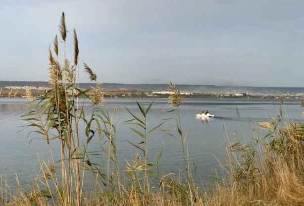 Агенция за недвижими имоти - Имоти Премиер - имот - 897779, Цена: 62900 EUR