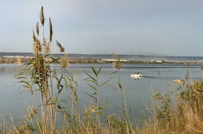 Продава парцел, Константиново -  - снимка 1 - Имоти Премиер