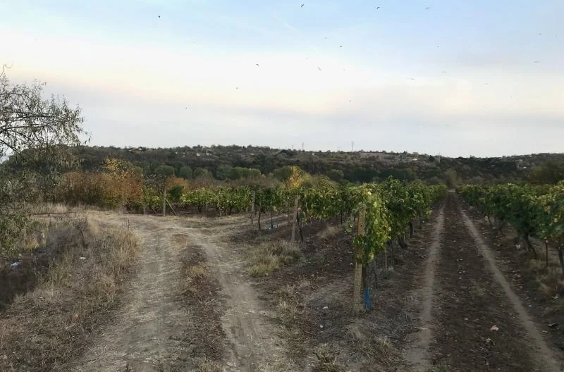 Продава парцел, Константиново -  - снимка 10 - Имоти Премиер