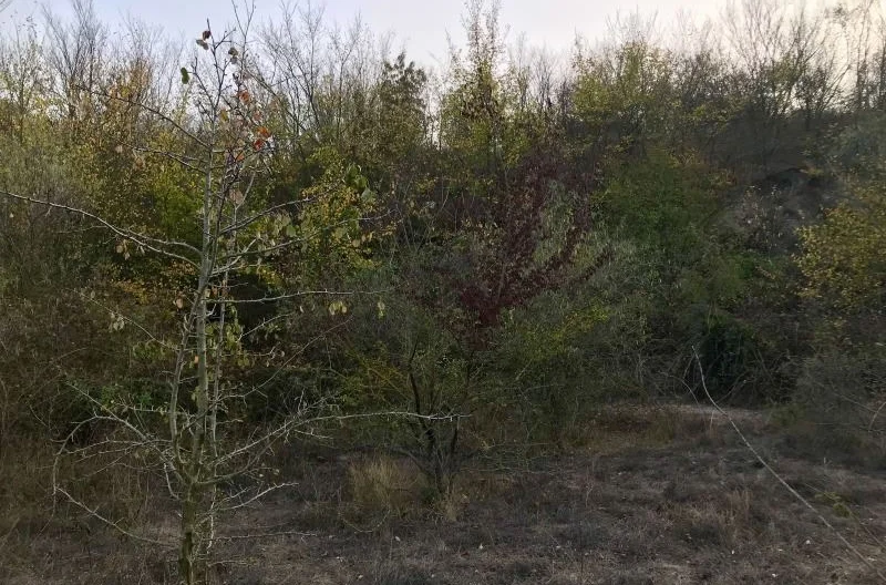 Продава парцел, Константиново -  - снимка 8 - Имоти Премиер