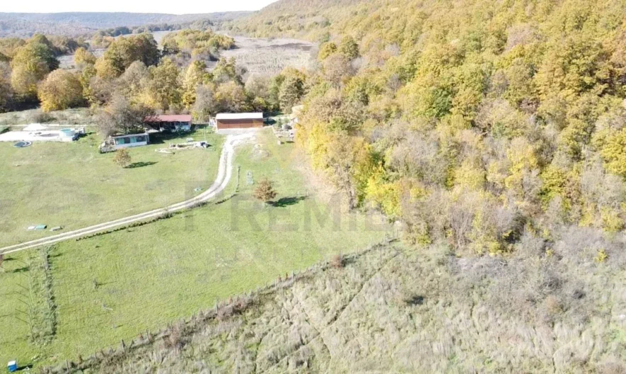 Продава парцел село Долище, област Варна -  - снимка 5 - Имоти Премиер