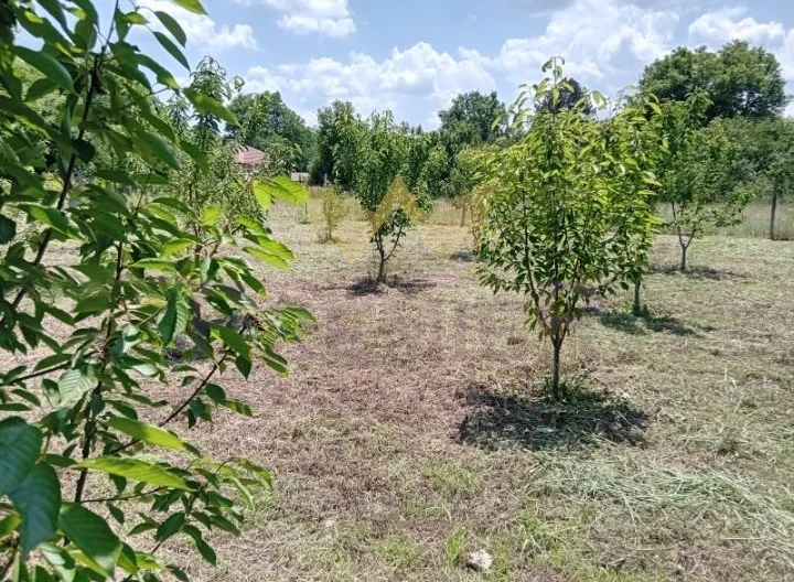 Продава парцел село Горен Чифлик област Варна -  - снимка 6 - Имоти Премиер