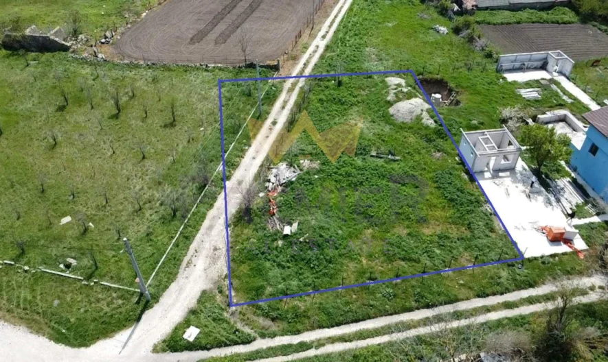 Продава парцел село Неофит Рилски област Варна - - снимка 5 - Имоти Премиер