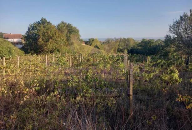 Агенция за недвижими имоти - Имоти Премиер - имот - 985063, Цена: 11000 EUR