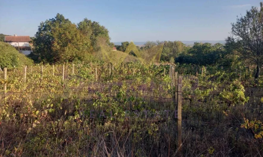 Агенция за недвижими имоти - Имоти Премиер - имот - 985063, Цена: 11000 EUR