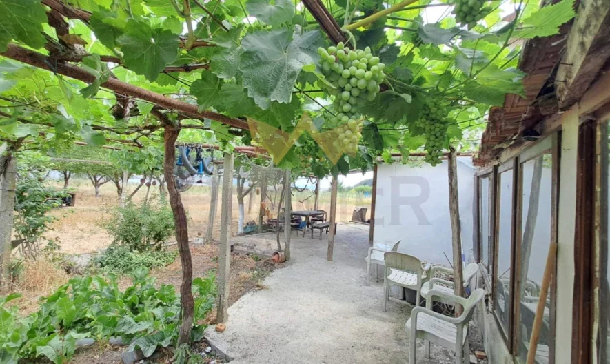 Продава Вила село Константиново Област Варна - - снимка 13 - Имоти Премиер