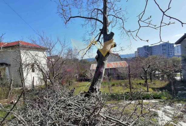 Агенция за недвижими имоти - Имоти Премиер - имот - 866089, Цена: 160000 EUR