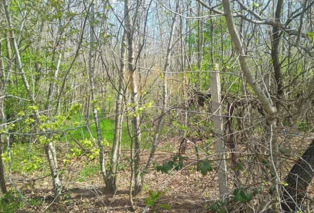 Продавам парцел в м-ст Боровец ЮГ- Кантара - - снимка 1 - Имоти Премиер