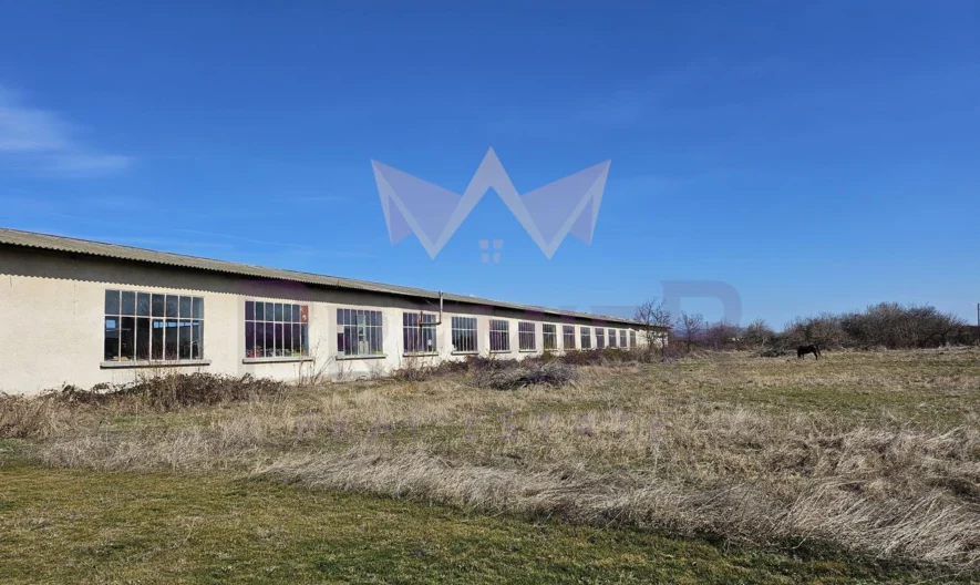 Производствена сграда с жилищна част и парцел в с.Бегово -  - снимка 14 - Имоти Премиер